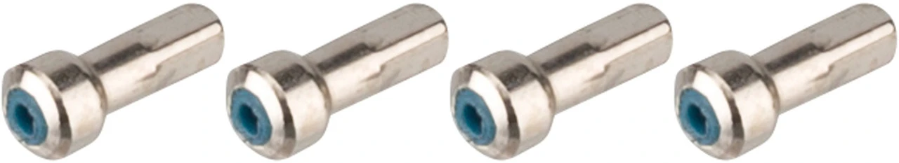 Campagnolo® Zonda C17 Ersatzspeichen Ab Modell 2016 4 Campagnolo® Zonda C17 Ersatzspeichen Ab Modell 2016 - Image 4