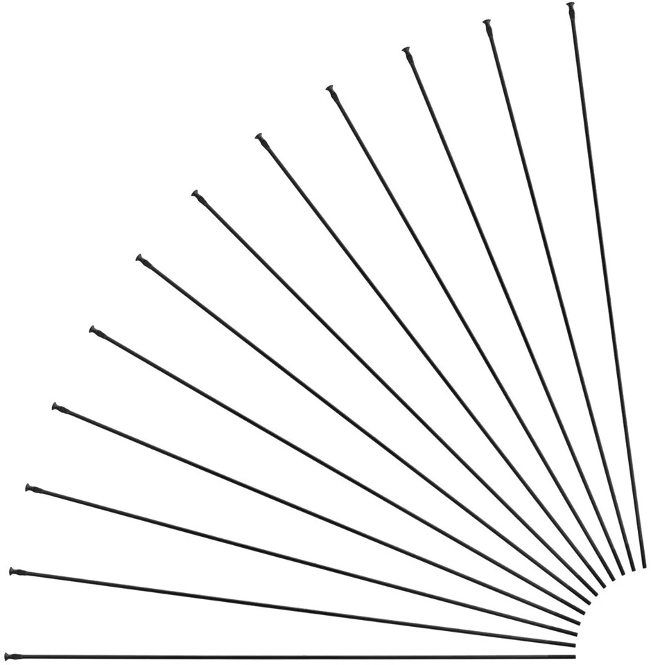 Mavic Aksium Allroad Disc 700 Ersatzspeichen Modell 2018 1 Mavic Aksium Allroad Disc 700 Ersatzspeichen Modell 2018