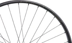 Tune Race 29 Endurance Boost Disc 6-Loch 29" Laufrad -Bike Tech Geschäft 461145