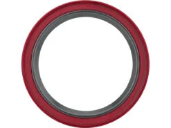 Cane Creek Hellbender Lite Ersatzlager Für Steuersatz 45 X 36 8 Cane Creek Hellbender Lite Ersatzlager Für Steuersatz 45 X 36 -Bike Tech Geschäft 482720